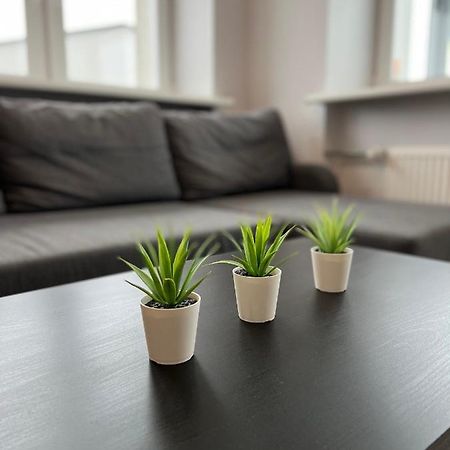 Akmene Center Apartment Naujoji Akmene Экстерьер фото